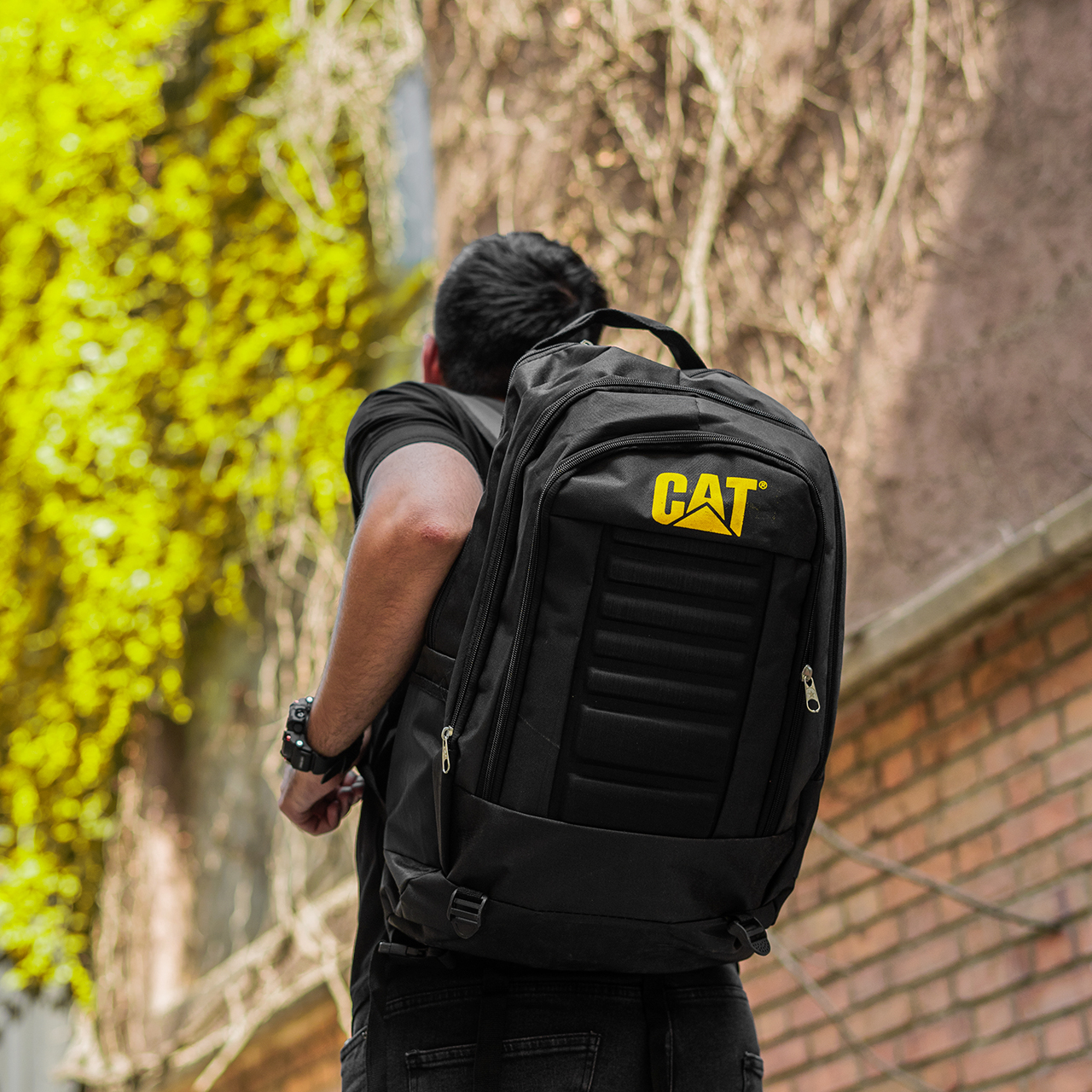 کوله پشتی Cat مشکی مدل behroz