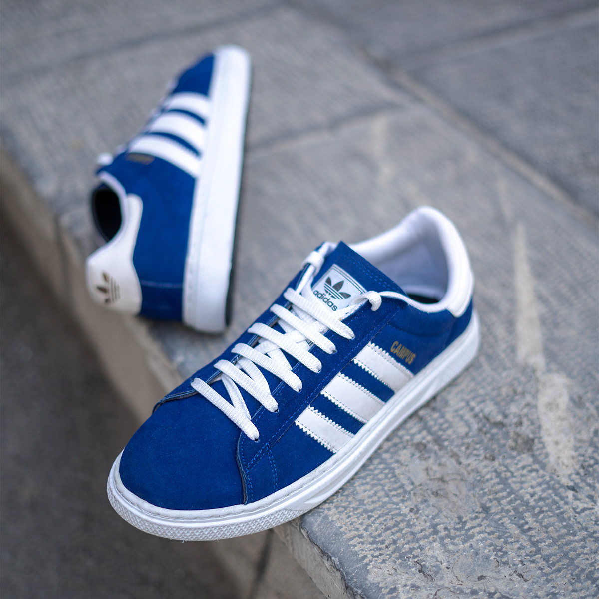 کفش ورزشی adidas Campus آبی مردانه مدل Arshia